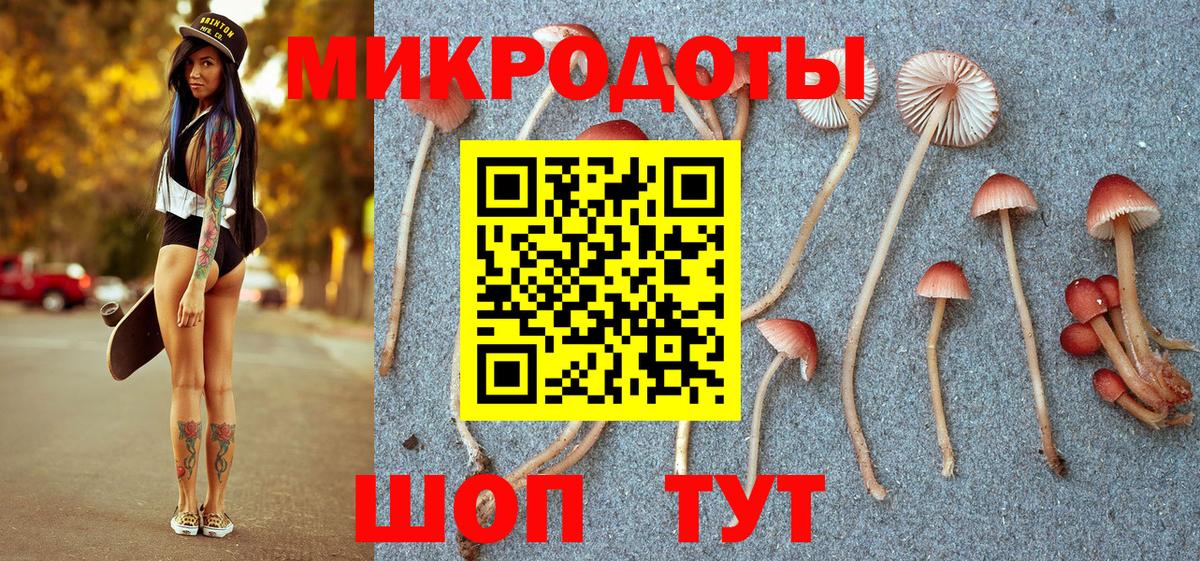 Псилоцибиновые грибы мицелий Шебекино